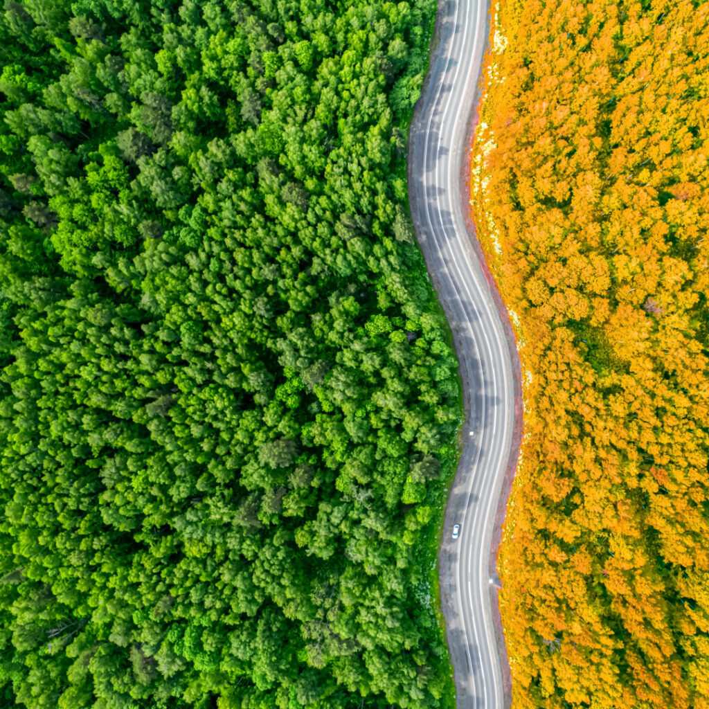 Luftaufnahme Wald und Ackerland im Kontrast