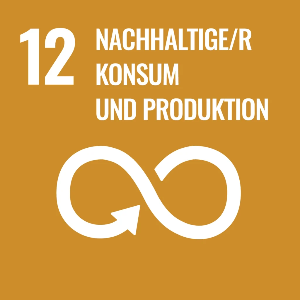 SDG Icon Ziel 12 Nachhaltige/r Konsum und Produktion